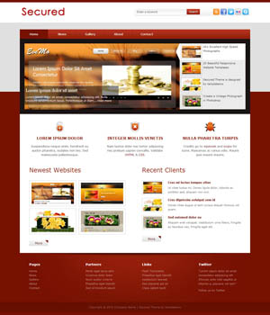 【专业版】功能强大的DDOS接单平台